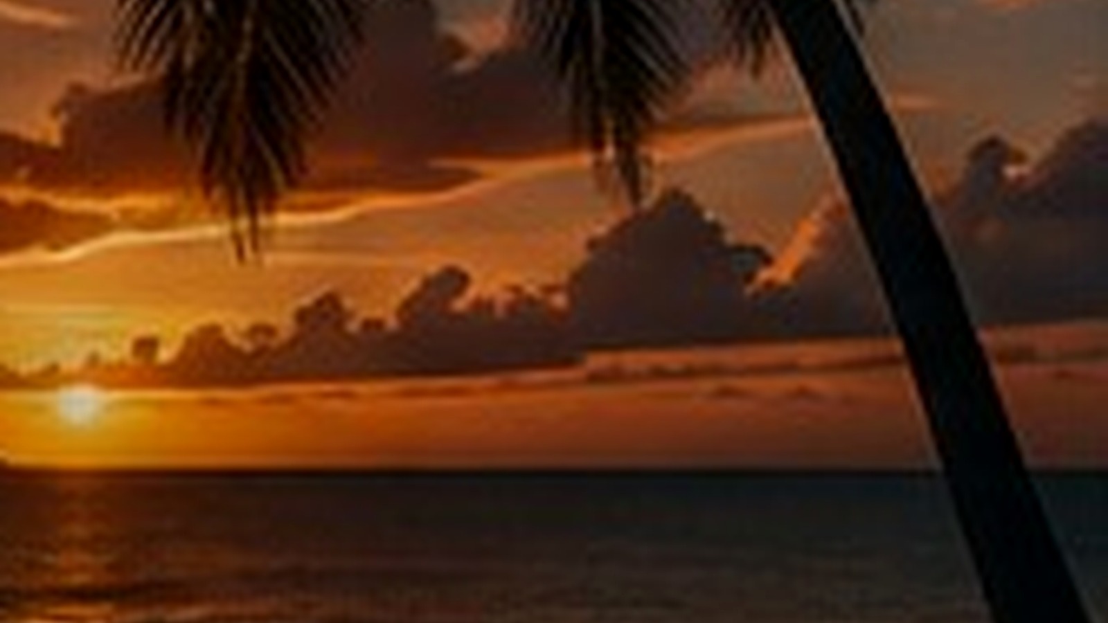 Caribbean shoreline